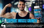Creatine Gummies